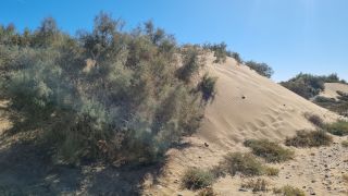 2023-GC--Mapalomas dunas-S123-157.jpg